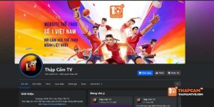 Phân tích các chiến lược Marketing của Thapcam TV
