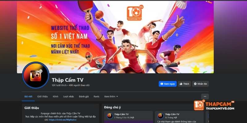 Phân tích các chiến lược Marketing của Thapcam TV